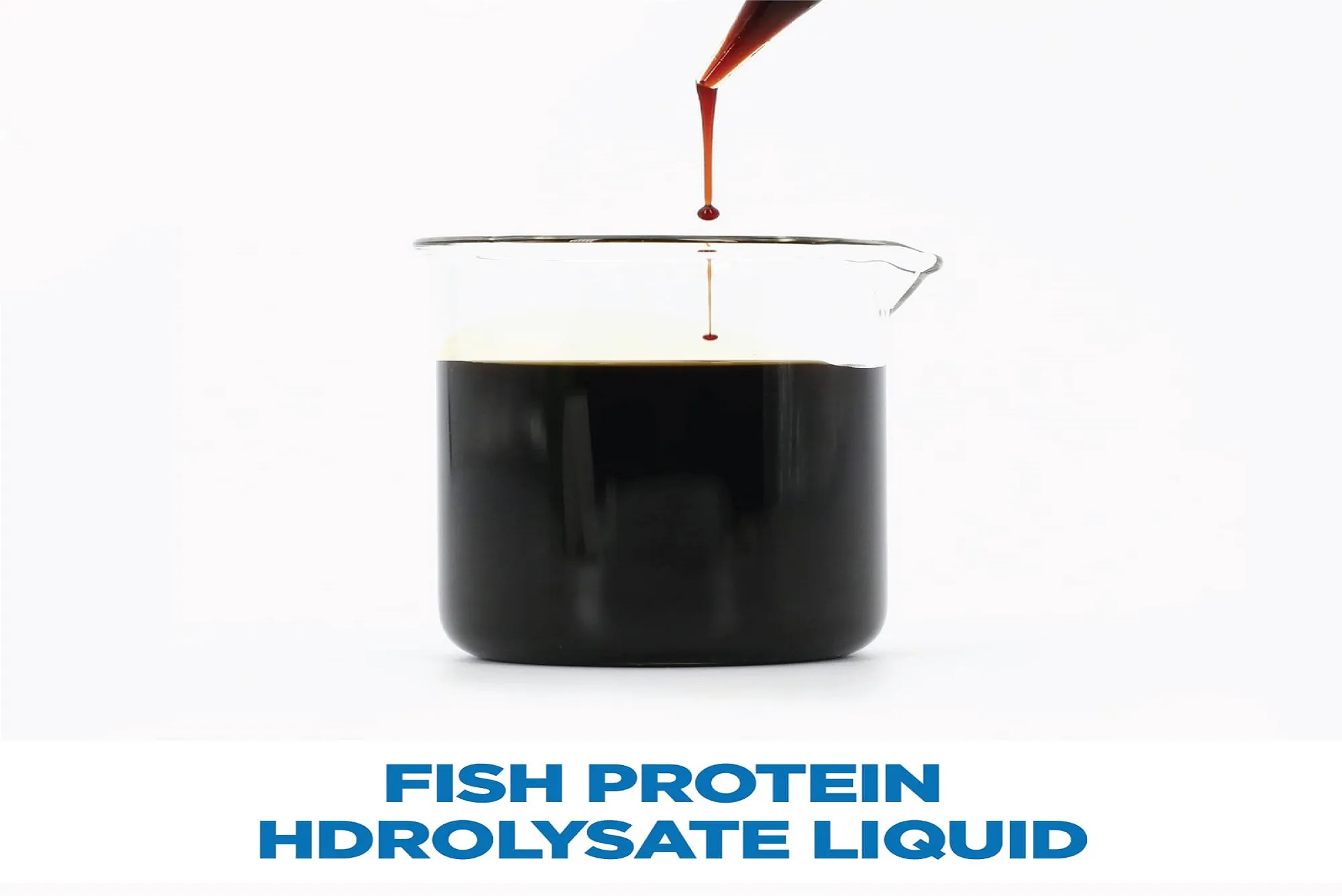 Diverse Applications of Fish Soluble Paste