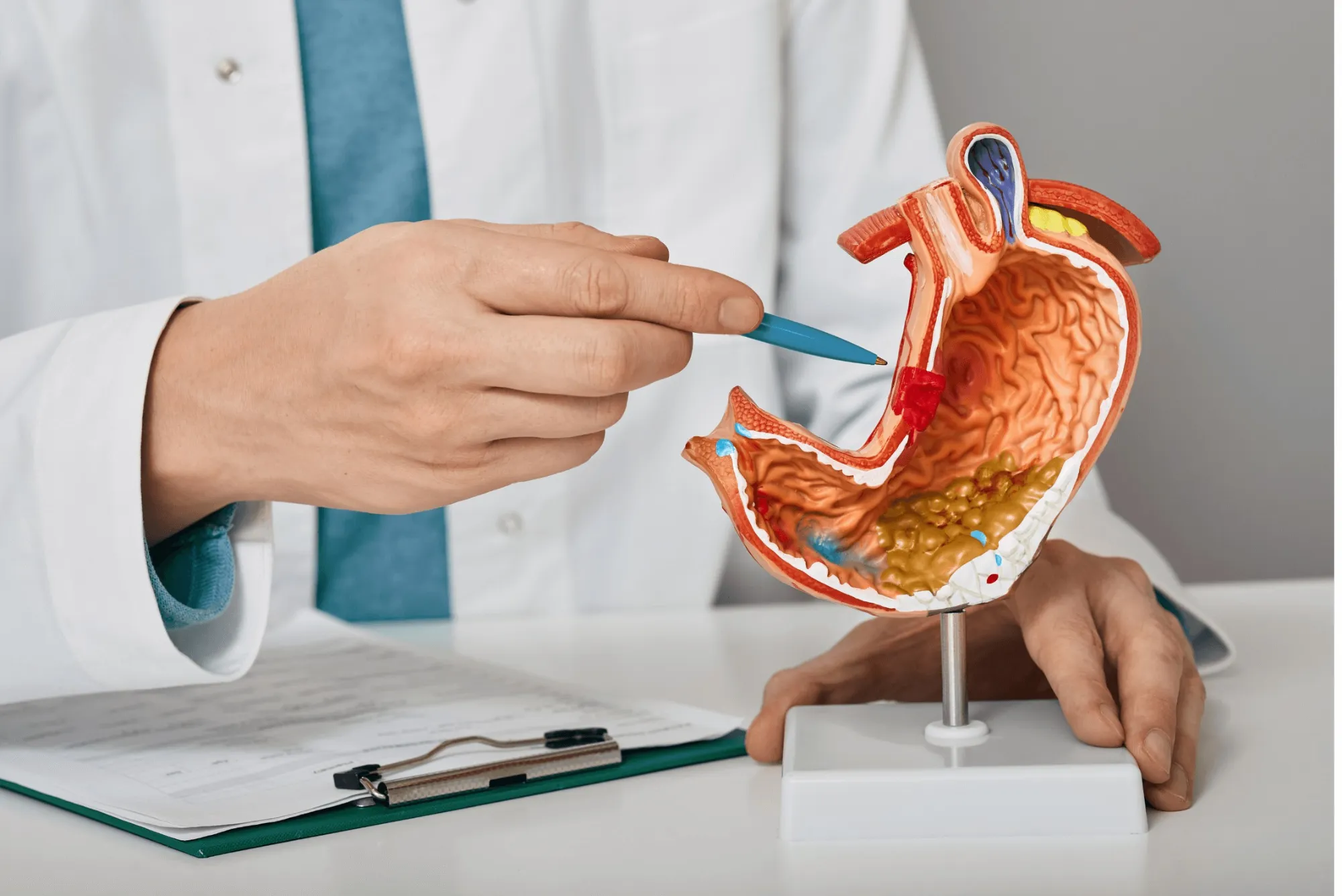 دكتور جهاز هضمي